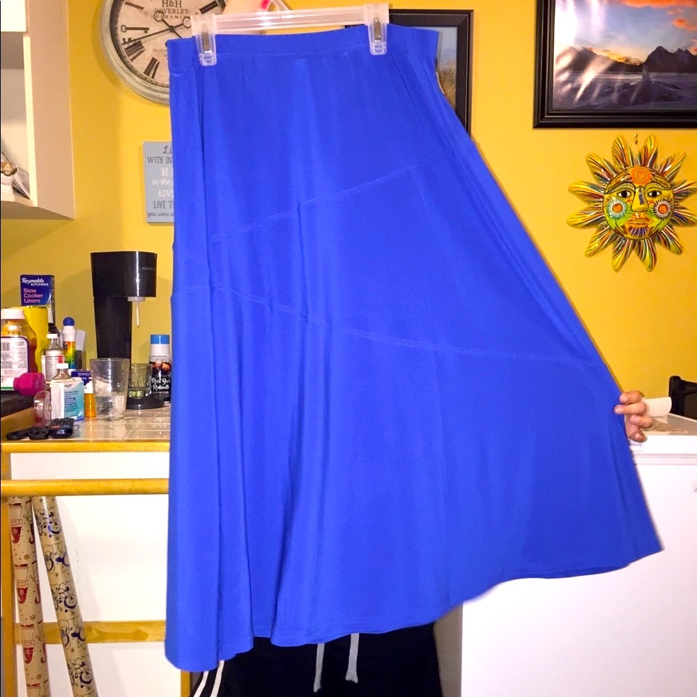 Nina Leonard Beautiful A-line Skirt
